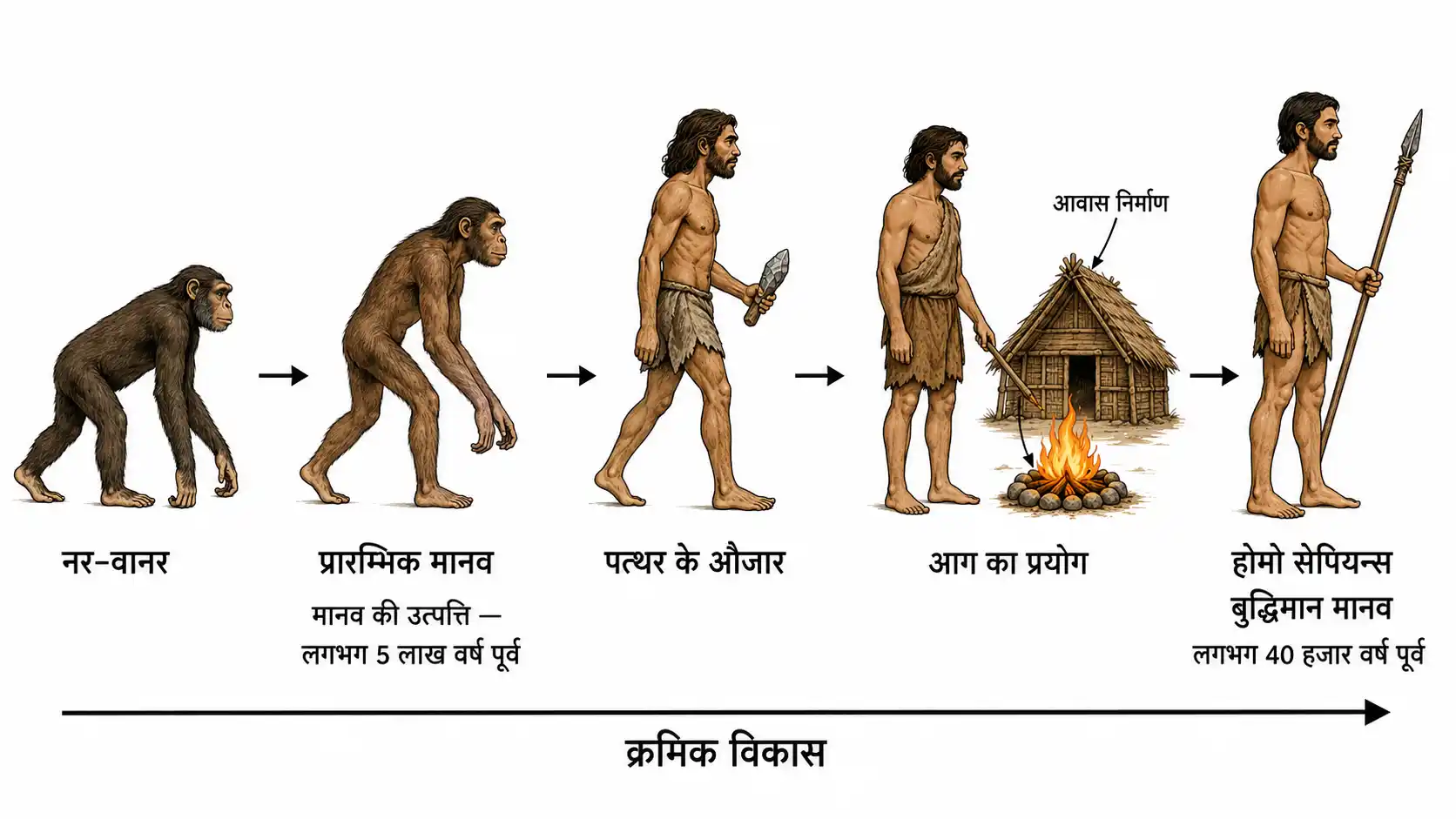 मानव की उत्पत्ति एवं विकास का क्रम