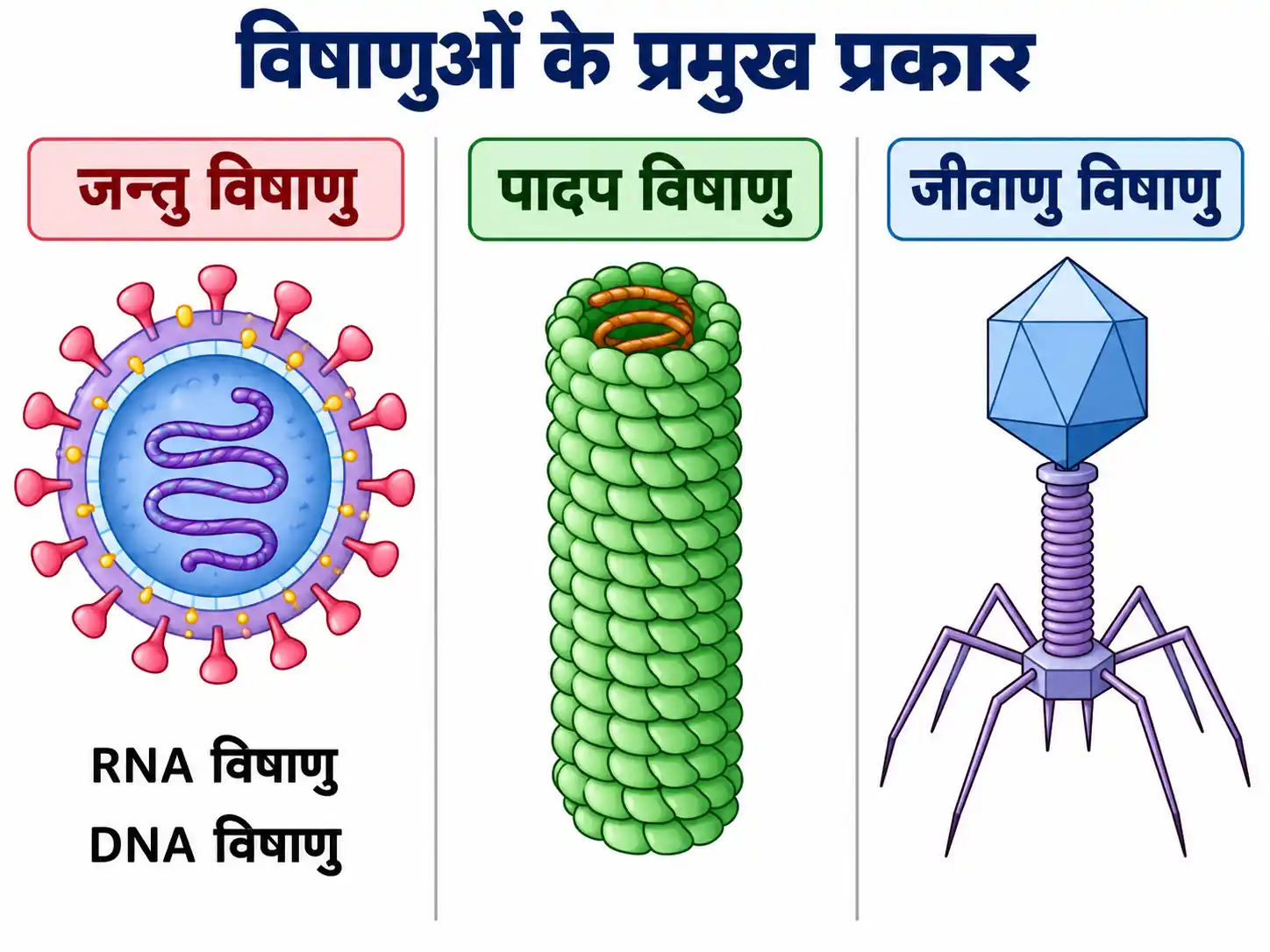 जन्तु, पादप और जीवाणु विषाणुओं के प्रमुख प्रकार